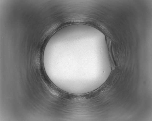 X0000052990586200508051110