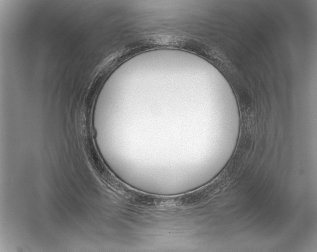 X0000052990587200508051110