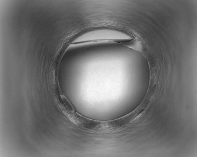 X0000052990589200508051110