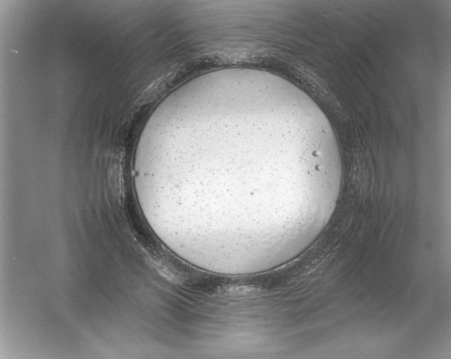 X0000052990590200508051110