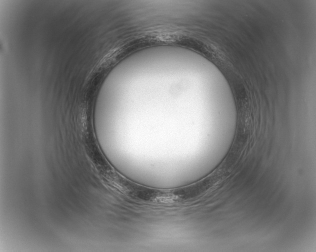 X0000052990595200508051110