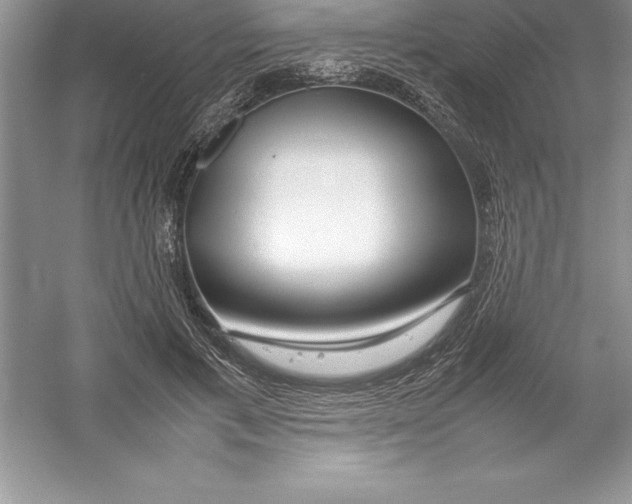 X0000052990597200508051110