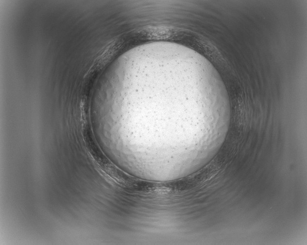 X0000052990598200508051110