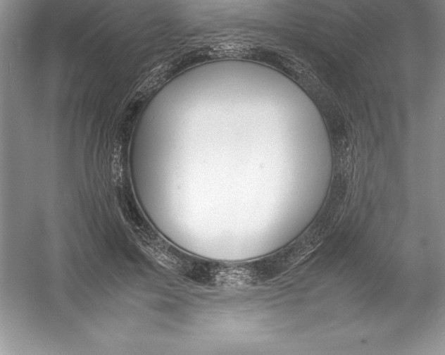 X0000052990599200508051110