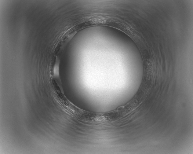 X0000052990600200508051110