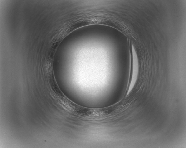 X0000052990601200508051110