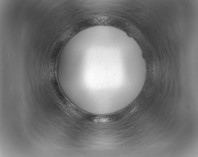 X0000052990602200508051110