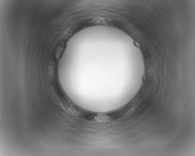 X0000052990603200508051110