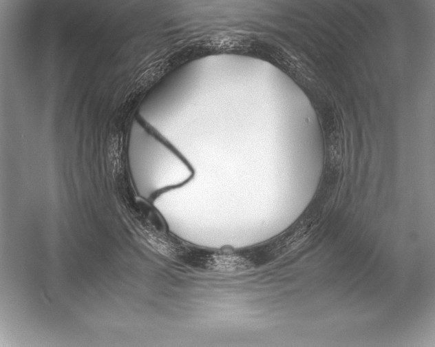 X0000052990605200508051110