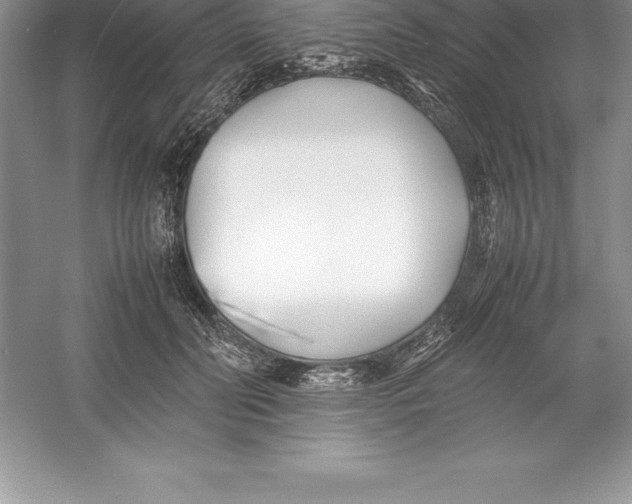 X0000052990606200508051110