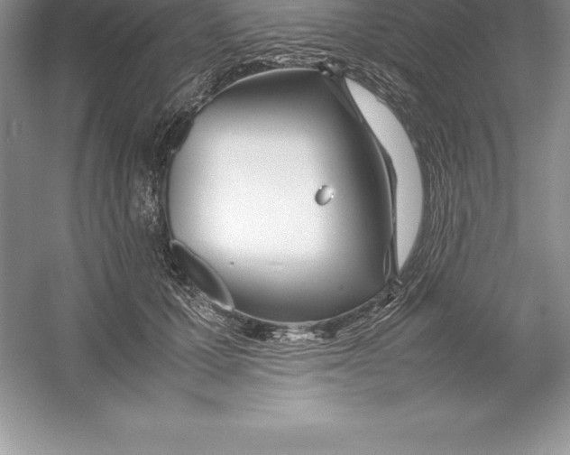 X0000052990607200508051110