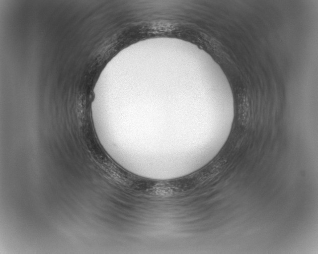 X0000052990608200508051110