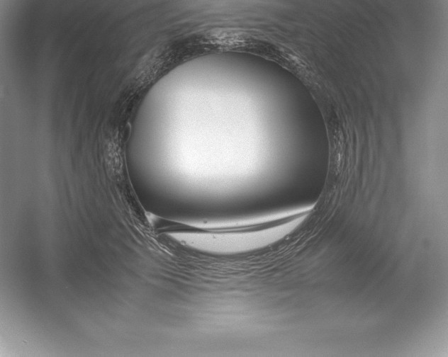 X0000052990609200508051109