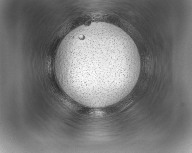 X0000052990610200508051109