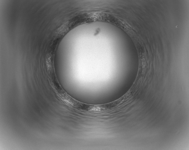 X0000052990611200508051109