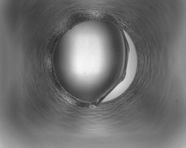 X0000052990613200508051109