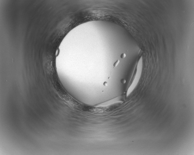 X0000052990615200508051109