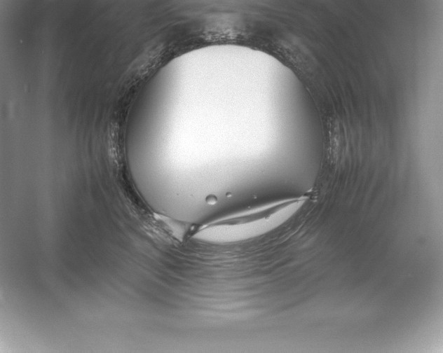 X0000052990616200508051109