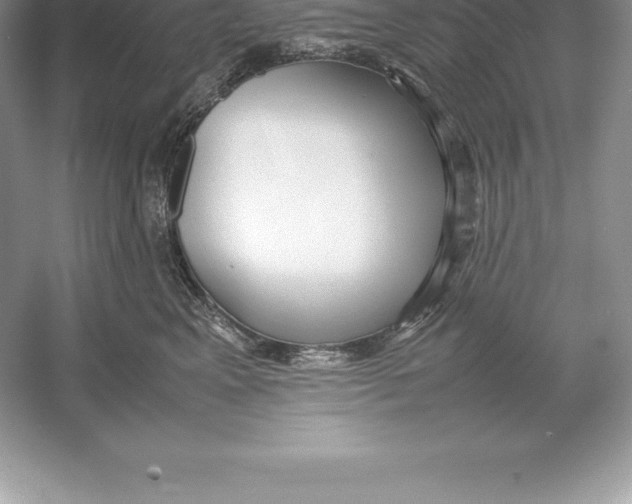 X0000052990617200508051109