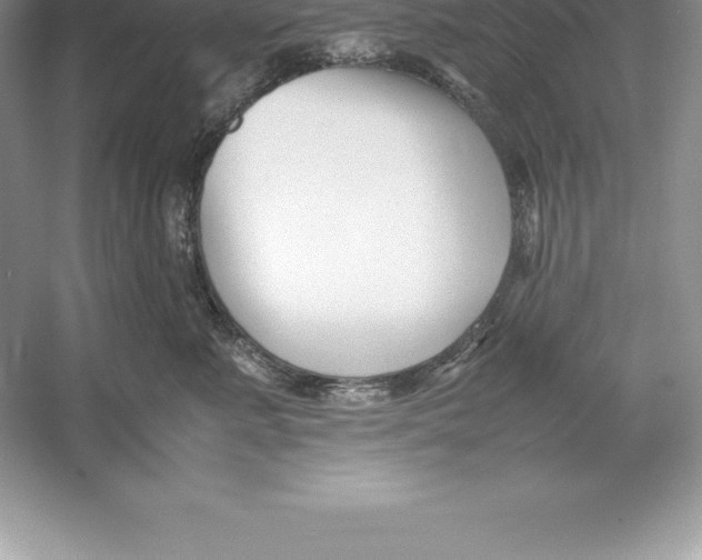 X0000052990619200508051109