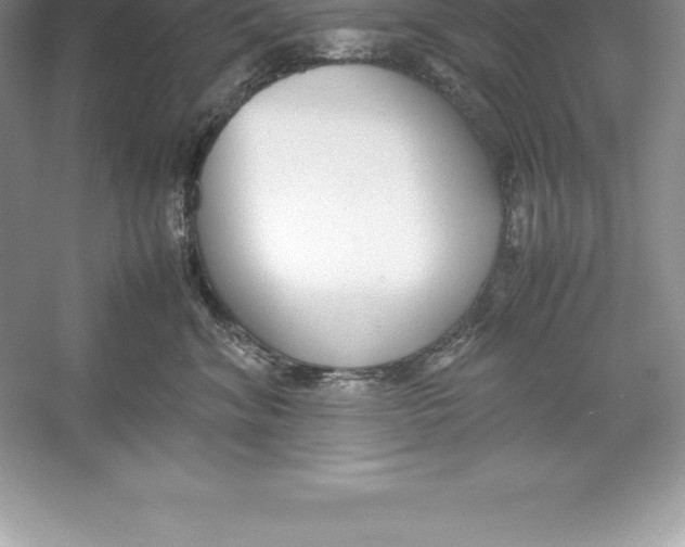 X0000052990620200508051109