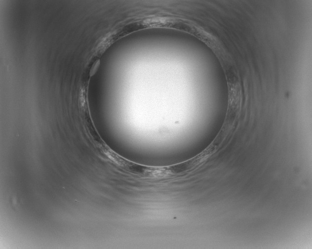 X0000052990621200508051109