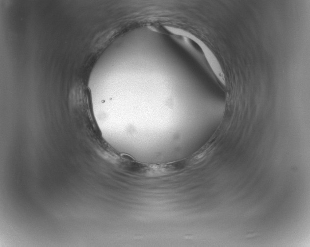 X0000052990623200508051109