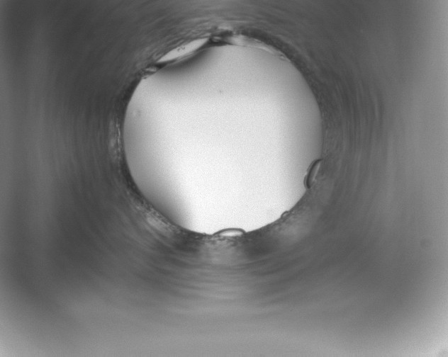 X0000052990624200508051109