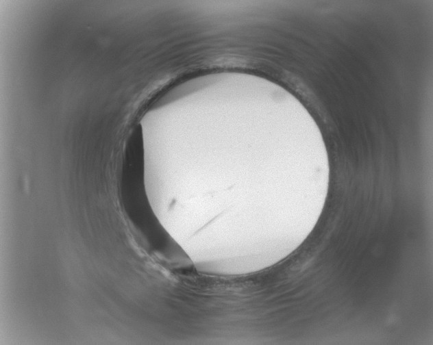 X0000052990625200508051108