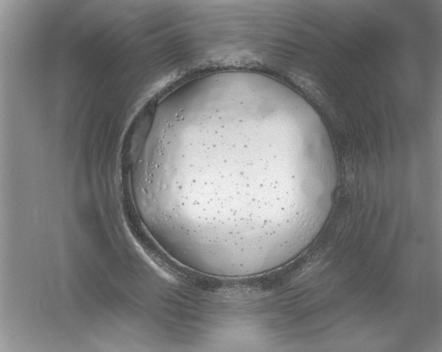 X0000052990630200508051109