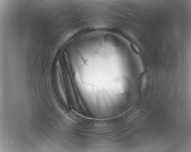 X0000052990631200508051109