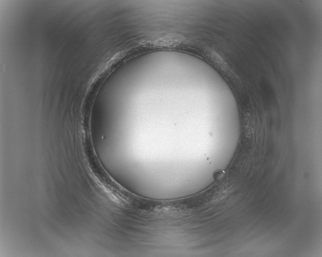 X0000052990634200508051109