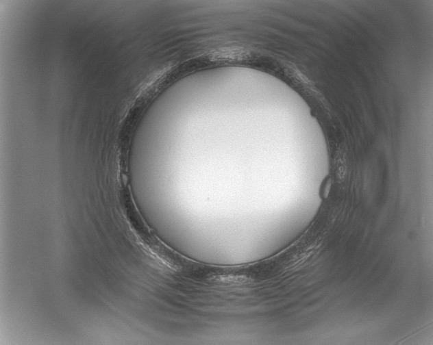 X0000052990637200508051109