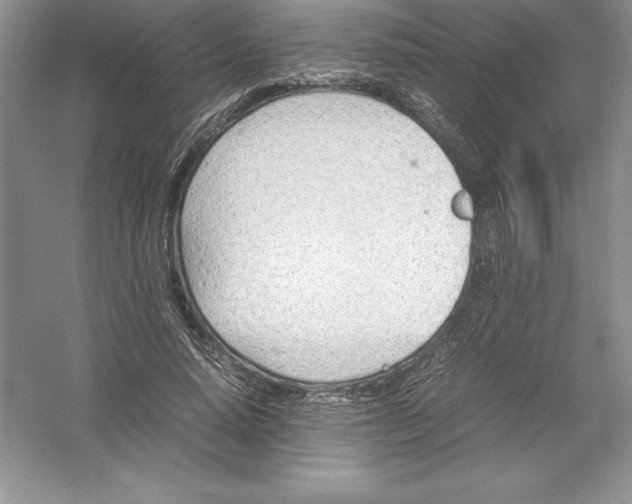 X0000052990640200508051109