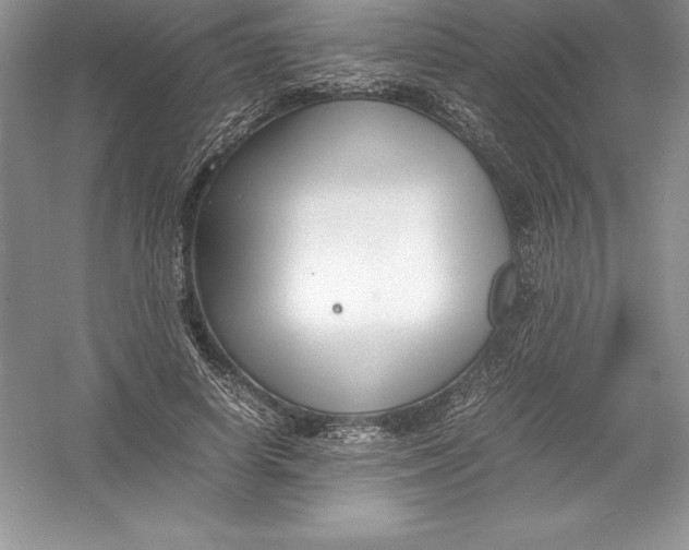 X0000052990642200508051109