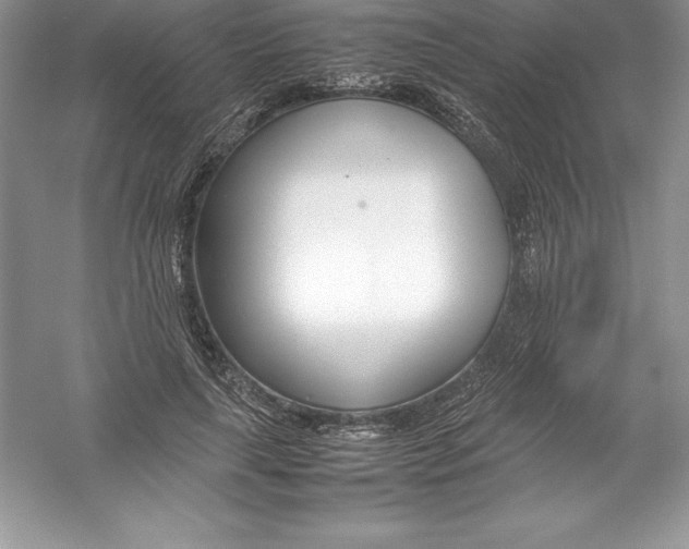 X0000052990643200508051109