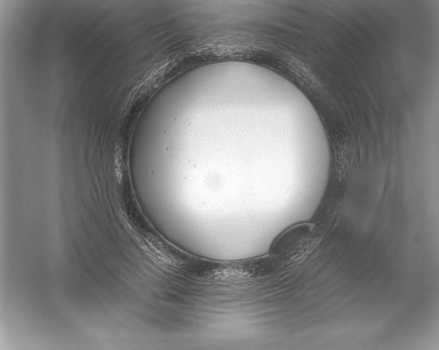 X0000052990644200508051109