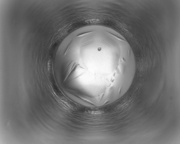 X0000052990645200508051109