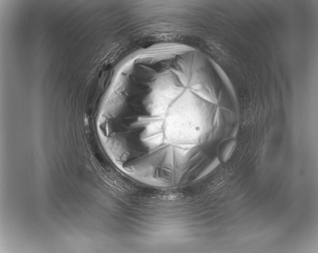 X0000052990646200508051109