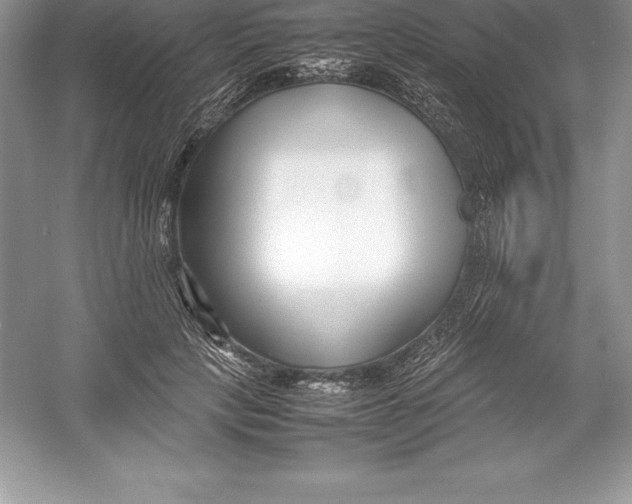 X0000052990649200508051109