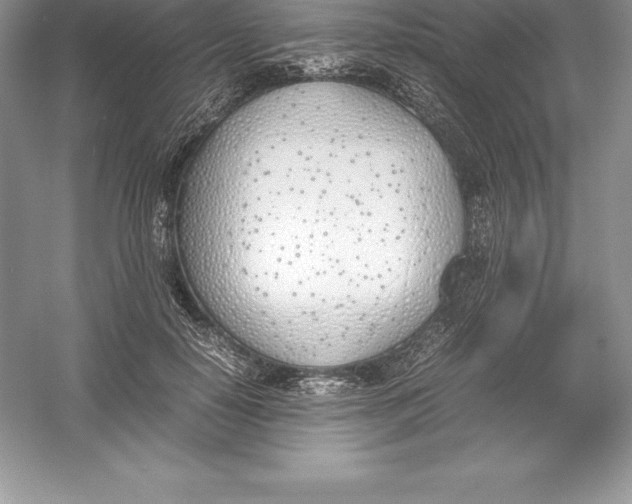 X0000052990650200508051109