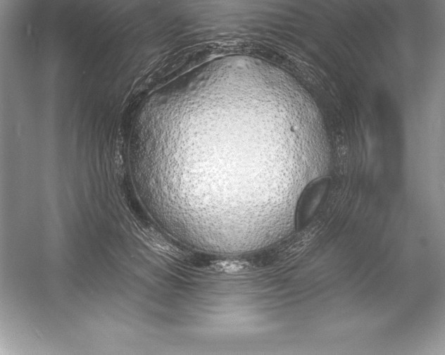 X0000052990654200508051109