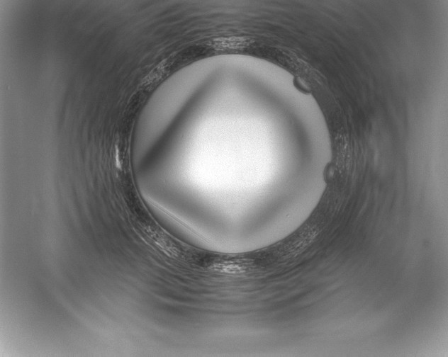 X0000052990655200508051109