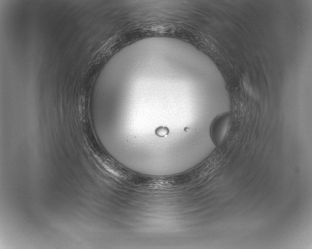 X0000052990656200508051109