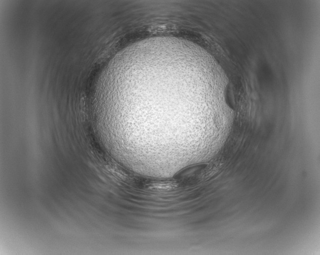 X0000052990659200508051109