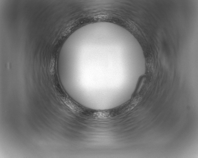 X0000052990660200508051109