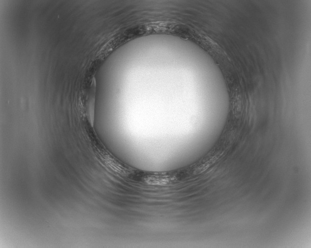 X0000052990661200508051109