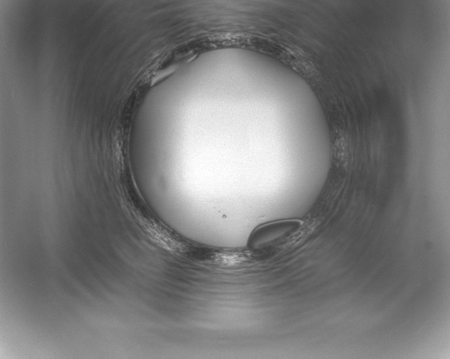 X0000052990662200508051109