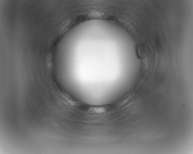 X0000052990665200508051109