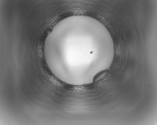 X0000052990666200508051109